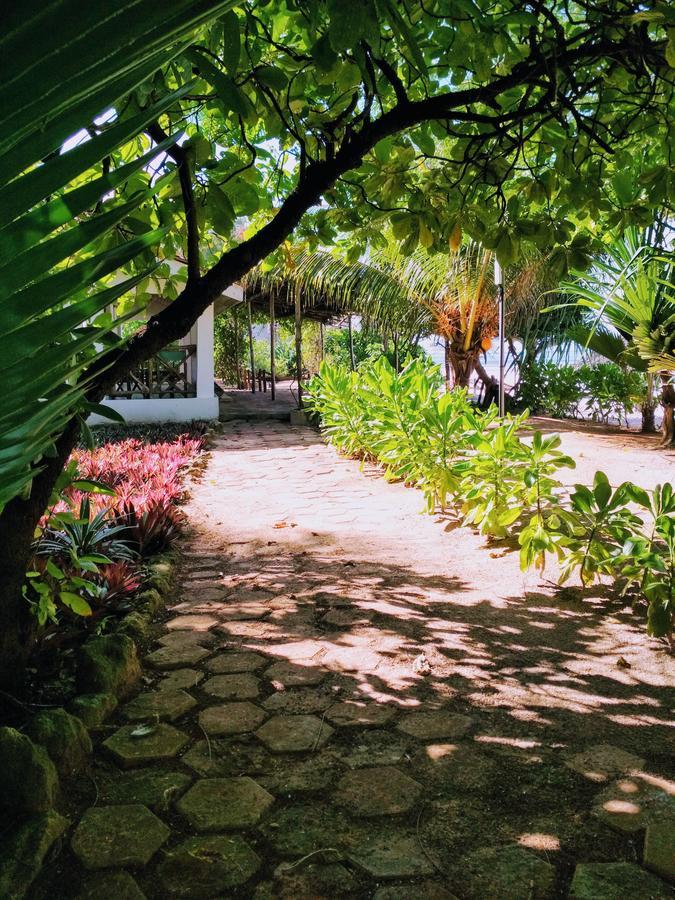 Panga Chumvi Beach Resort Matemwe  Bagian luar foto