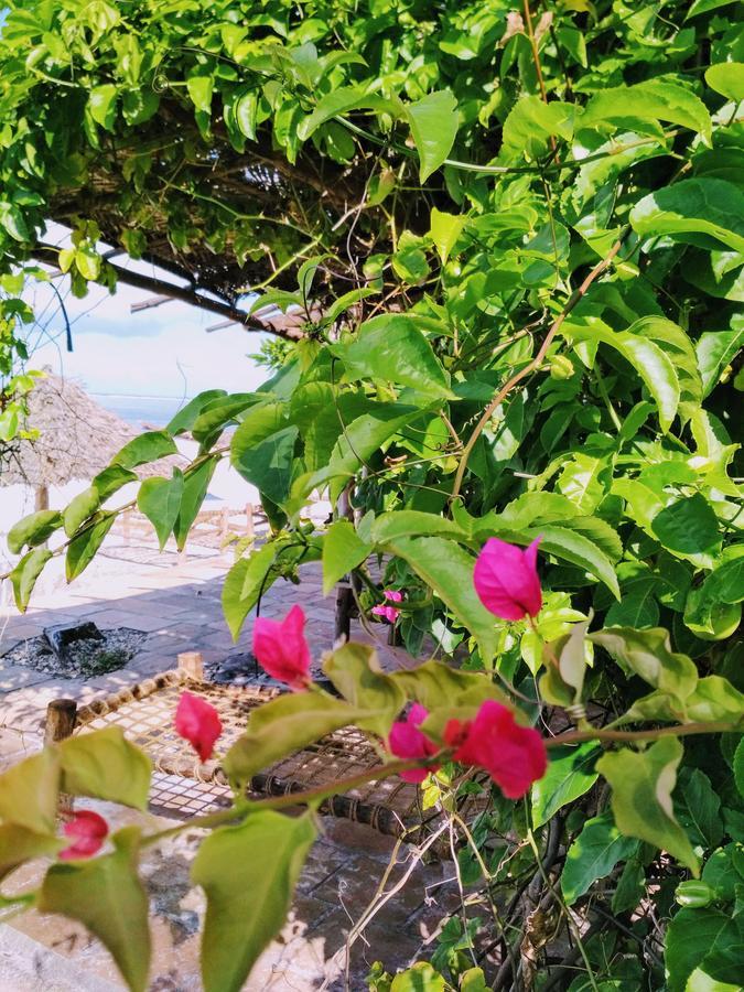 Panga Chumvi Beach Resort Matemwe  Bagian luar foto